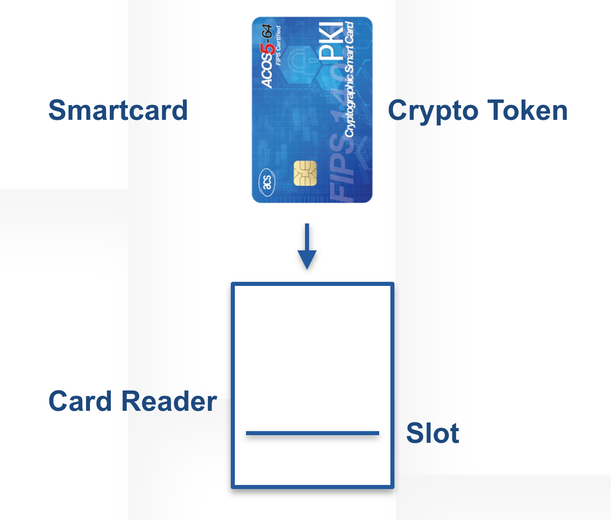 Crypto Tokens Overview