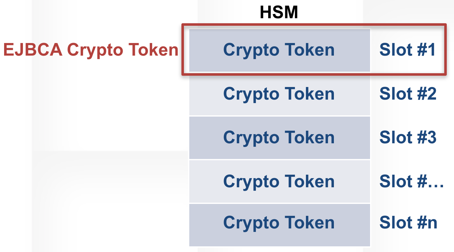 Crypto Tokens Overview