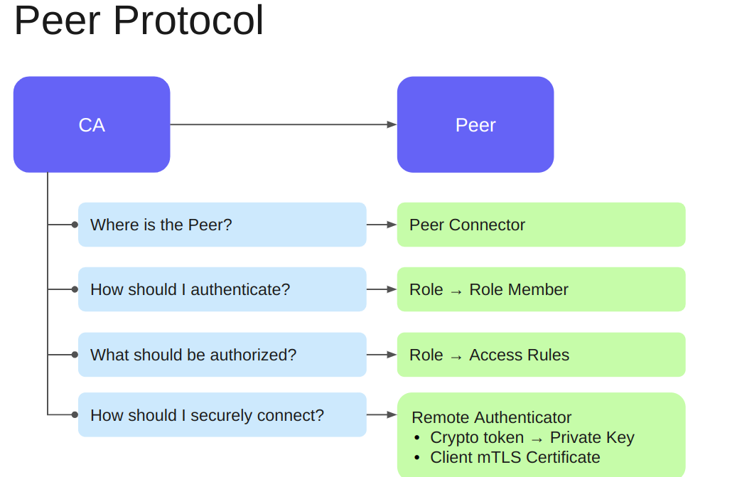 peer_config_in_ca.png
