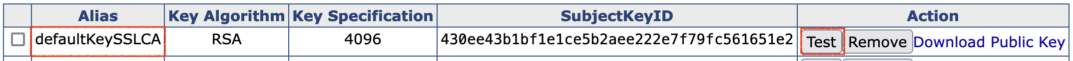 defaultKeySSLCA tested successfully.png