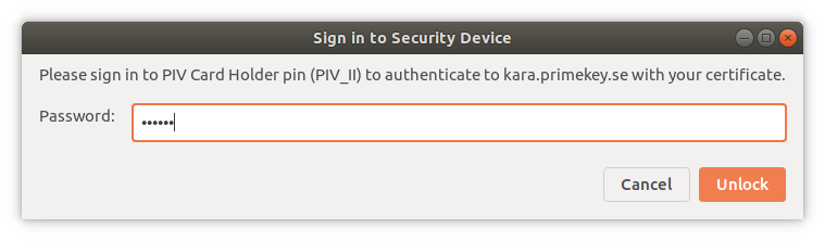 chrome-piv-login.png