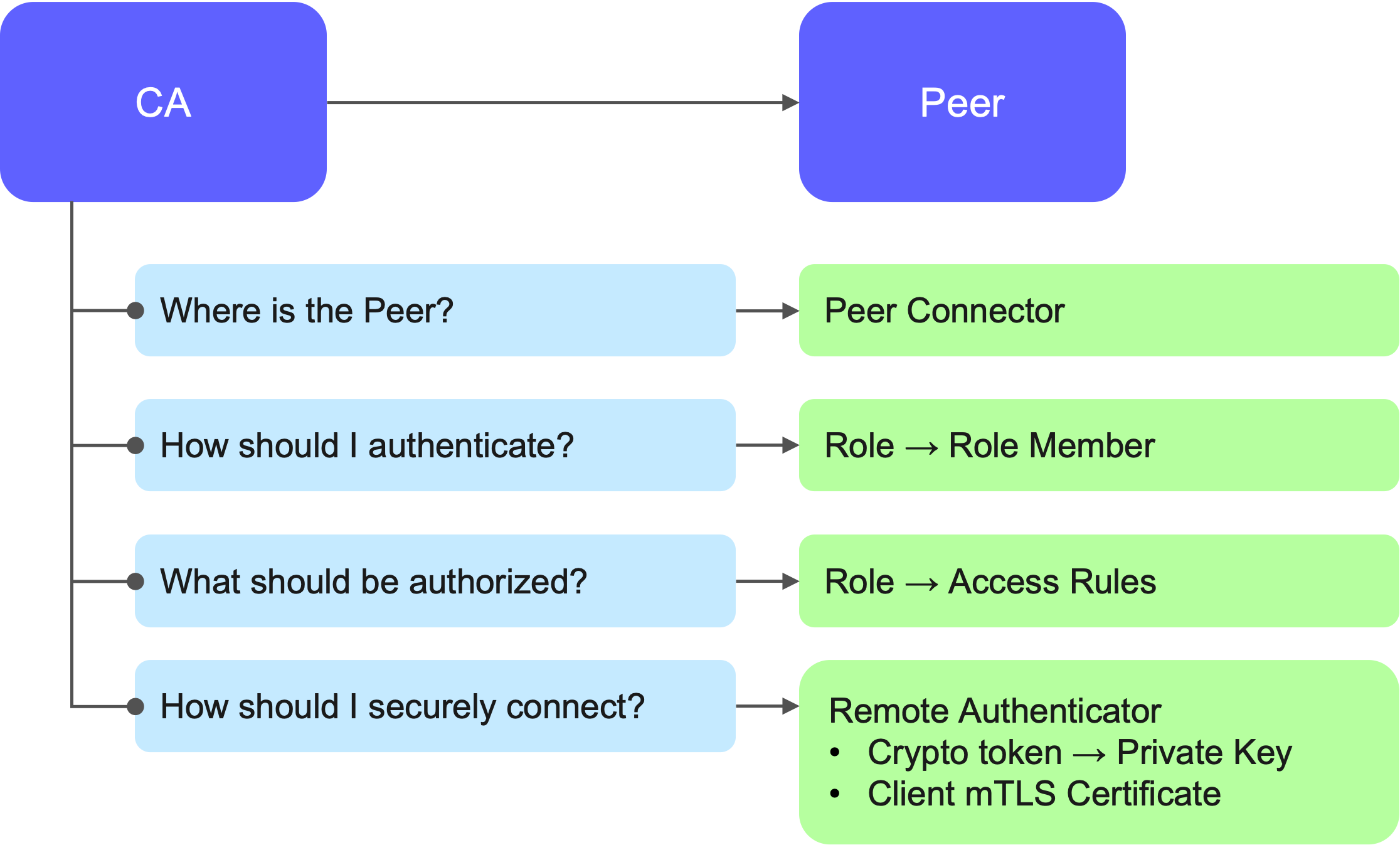 peer what.png