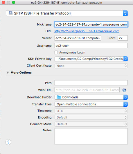 Copy Backup to New Instance2.png