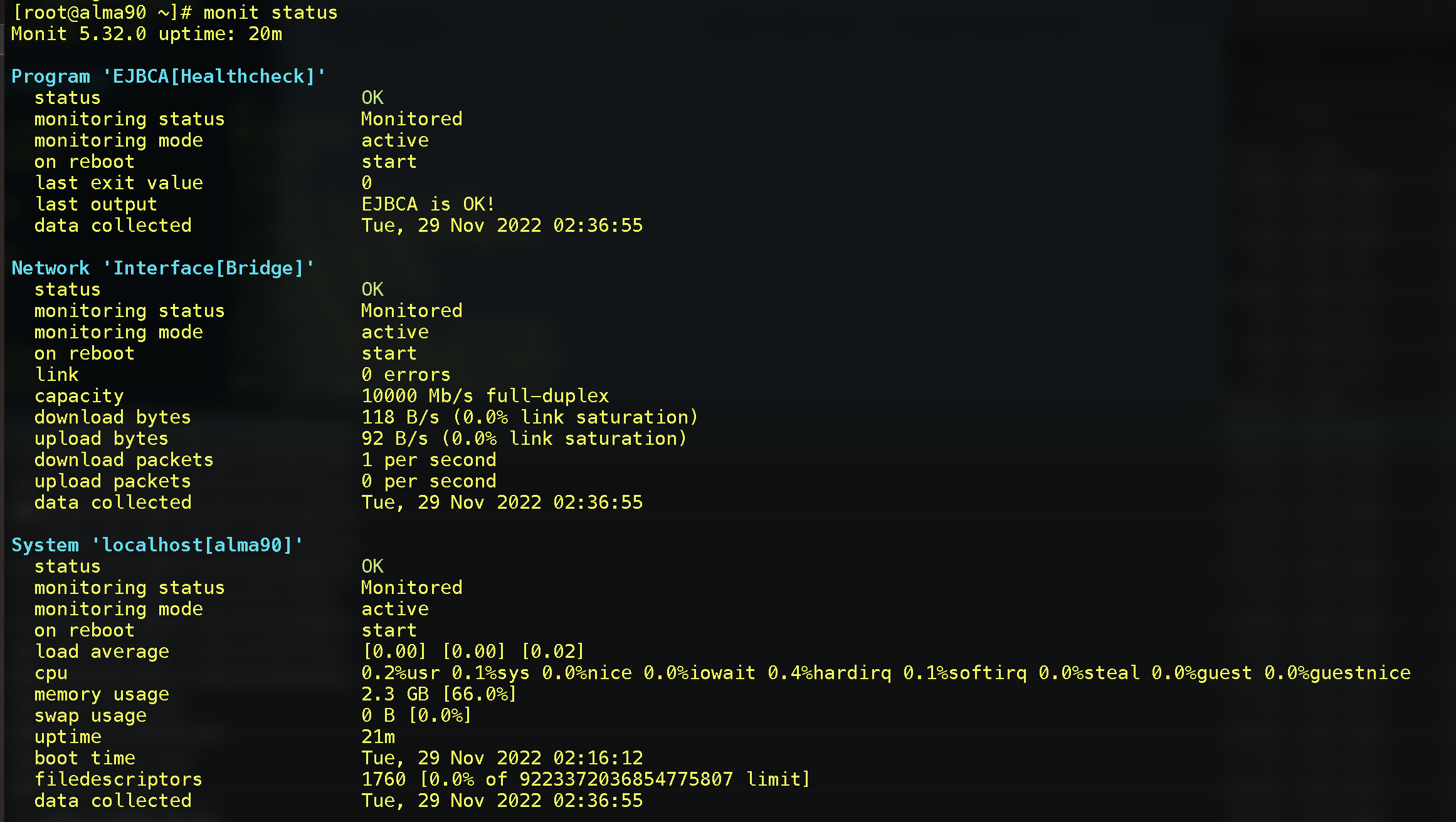status-terminal.png