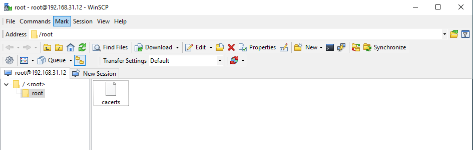 winscp2.png