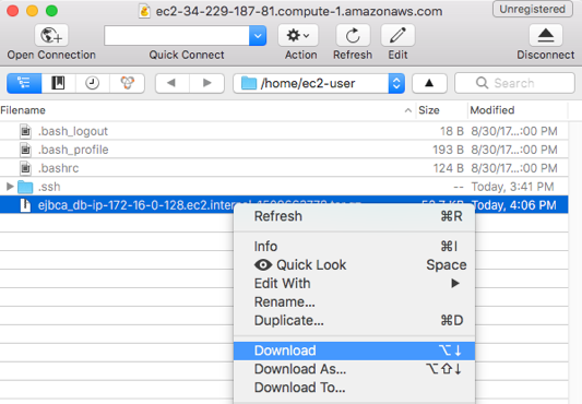 Copy Backup to New Instance3.png