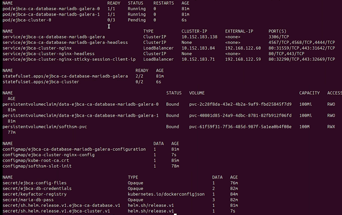 Tutorial - Deploy EJBCA Enterprise CA with Helm chart | Keyfactor Docs