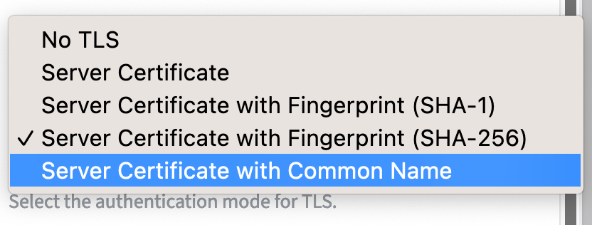 Server Certificate with Common Name.png
