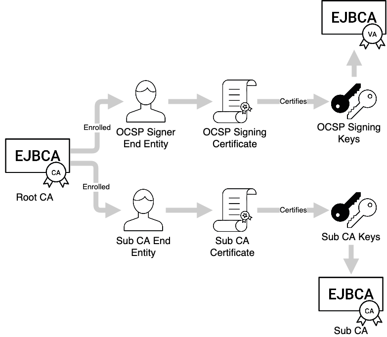 end entity #2.png