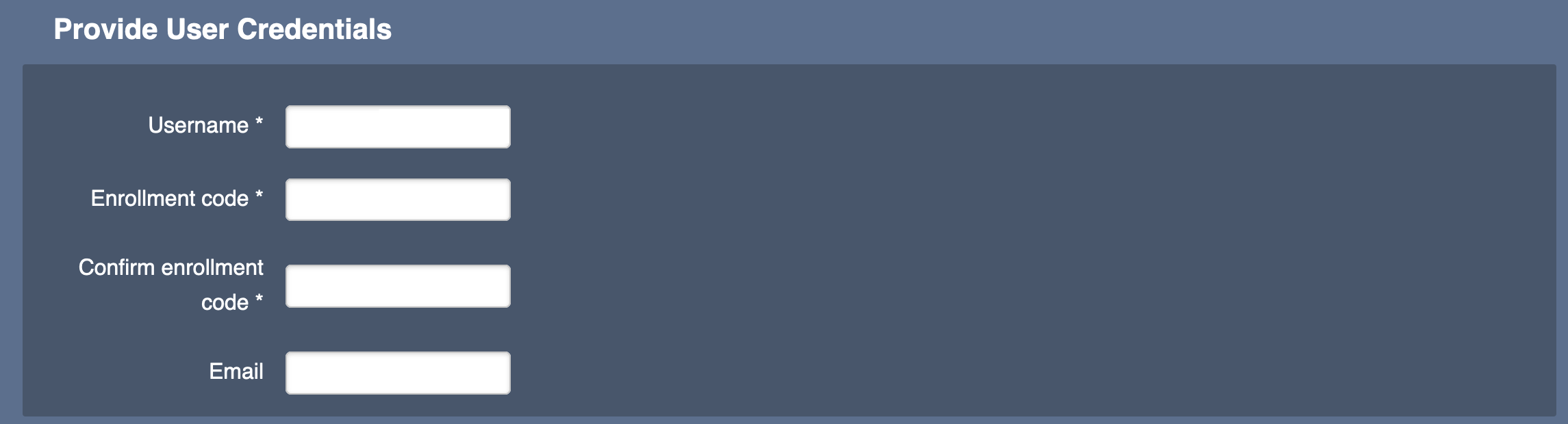 Provide User Credentials.png