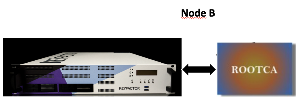 Physical Infrastructure Node B.png