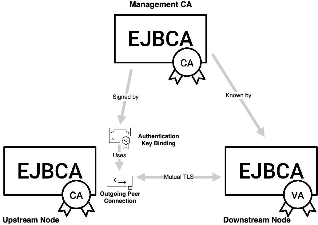 peers tls.png