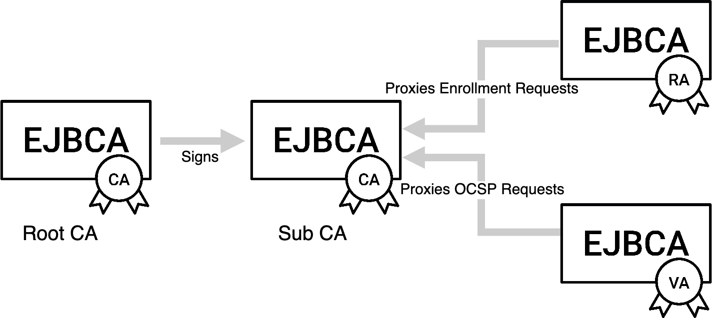 general structure.png