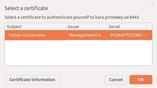 chrome-piv-login1.png