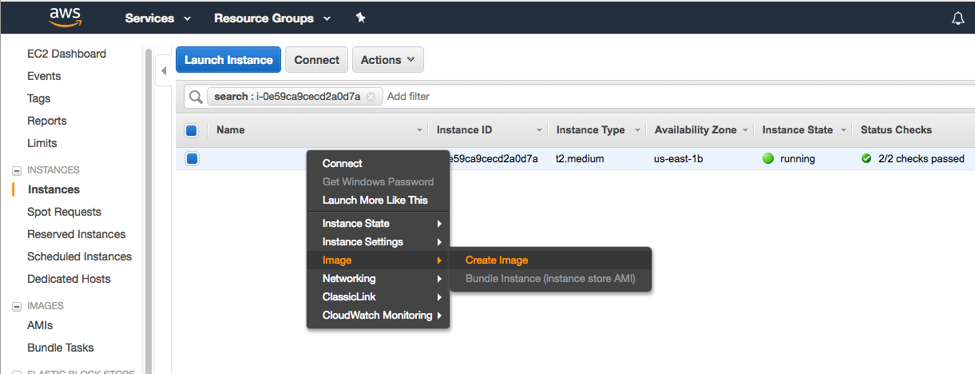 Using AWS Snapshot2.png